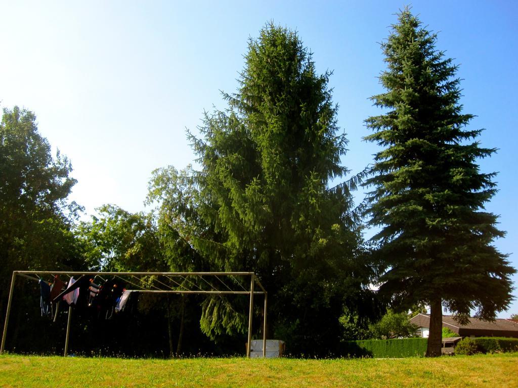 Ferienwohnung Am Ziegelbach Hechingen Bagian luar foto